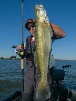 Fox Rage - Terminator Versatile Soft Casting - 210cm 6' 11" 10-40g 13 Fox Rage - Terminator Versatile Soft Casting - 210cm 6' 11" 10-40g -Predator Fishing Rods Verkoopwinkel apc 2847 1