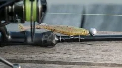 Fox Rage - Street Fighter - Dropshooter 230cm 6-24g 11 Fox Rage - Street Fighter - Dropshooter 230cm 6-24g -Predator Fishing Rods Verkoopwinkel dsc04766