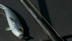 Fox Rage - Terminator Power Shad - 225cm 7' 4" 20-90g -Predator Fishing Rods Verkoopwinkel dsc05009