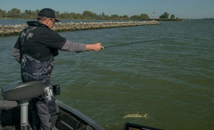 Fox Rage - Terminator Versatile Soft Casting - 210cm 6' 11" 10-40g 5 Fox Rage - Terminator Versatile Soft Casting - 210cm 6' 11" 10-40g - Afbeelding 5