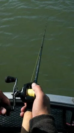 Fox Rage - Terminator Power Shad - 225cm 7' 4" 20-90g -Predator Fishing Rods Verkoopwinkel dsc05080