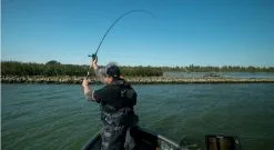 Fox Rage - Terminator Big Bait Special - 240cm 7' 10" 200g 15 Fox Rage - Terminator Big Bait Special - 240cm 7' 10" 200g -Predator Fishing Rods Verkoopwinkel dsc05200