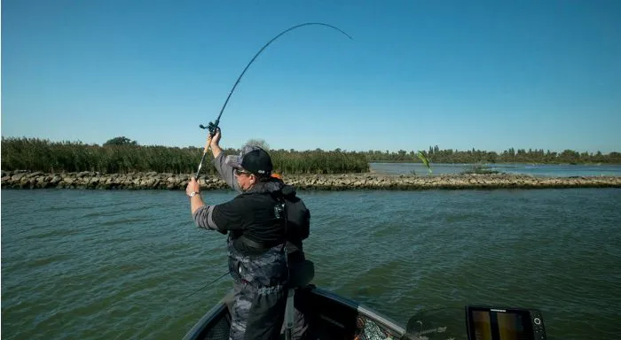 Fox Rage - Terminator Big Bait Special - 240cm 7' 10" 200g 7 Fox Rage - Terminator Big Bait Special - 240cm 7' 10" 200g - Afbeelding 7