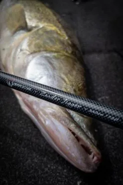 Fox Rage - Warrior Zander Jigger - 240cm 10-35g -Predator Fishing Rods Verkoopwinkel fox rage warrior zander jigger 6