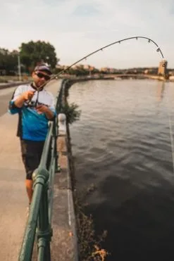 Fox Rage - Street Fighter - Dropshooter 230cm 6-24g 15 Fox Rage - Street Fighter - Dropshooter 230cm 6-24g -Predator Fishing Rods Verkoopwinkel p1033537 3