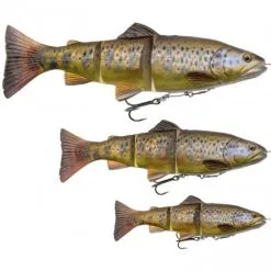 Savage Gear Savage - 4D Line Thru Trout 20cm 93g SS