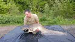 Catfish Pro - Unhooking Mat With Flap And Stink Bag -Predator Fishing Rods Verkoopwinkel xxxl mat 1024x1024 2x